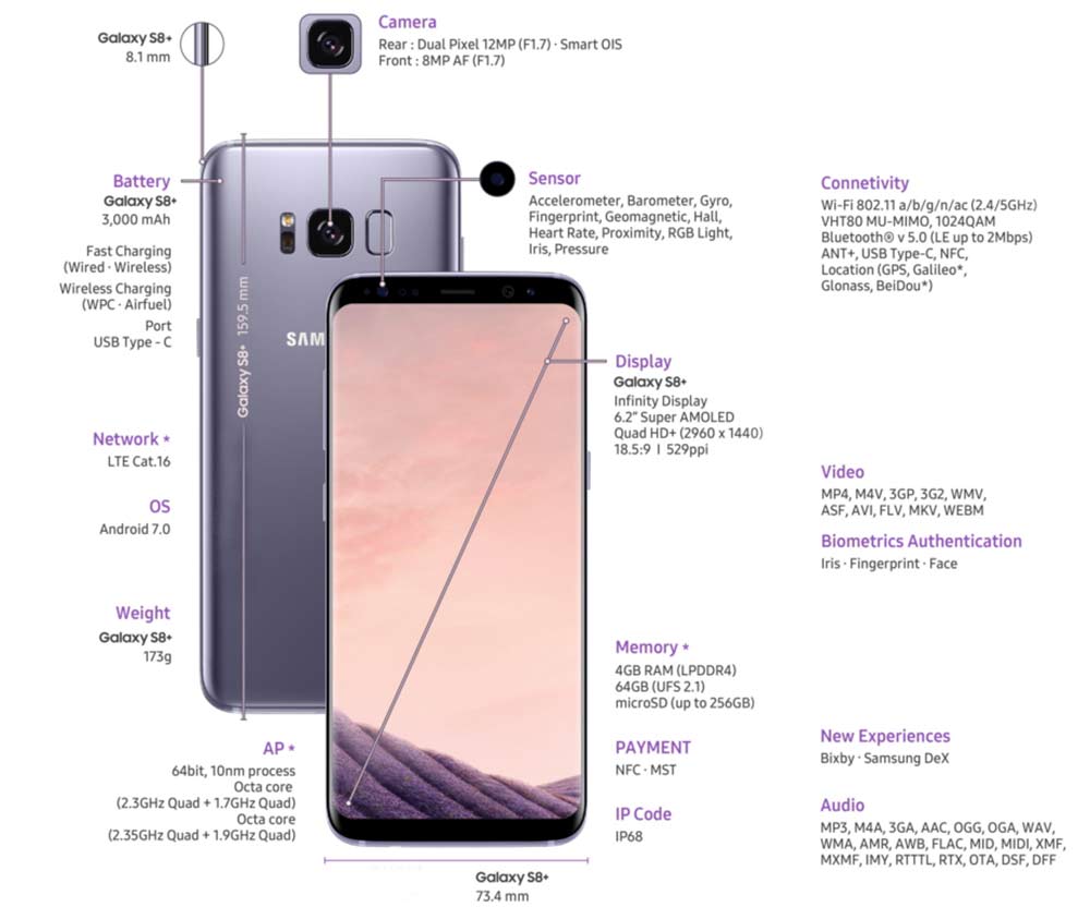 galaxy s8 plus infographic